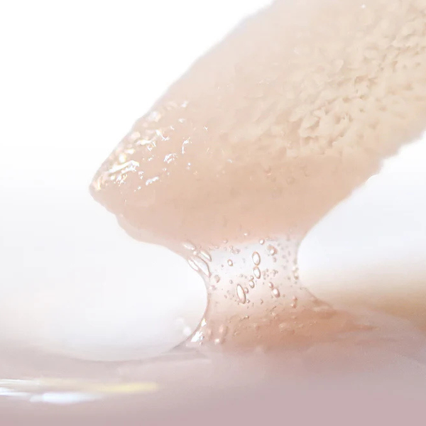 Lip Conditioner